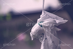 願い叶わず,雨,てるてる坊主,天気,壊れ,ヴィンテージ,ビンテージ,レトロ,お洒落,おしゃれ,オシャレ,味わい,懐かしい
