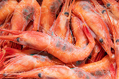 冷凍甘エビ,甘エビ,甘海老,甘えび,海老,えび,エビ,冷凍,解凍,刺身,お刺身,生,さしみ,つまみ,おつまみ,和食,日本食,日本料理,魚介,甲殻類,シーフード,seafood,shrimp