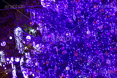 自由が丘イルミネーション,イルミネーション,イルミ,クリスマスツリー,キラキラ,クリスマス,電飾,電球,発光ダイオード,冬,綺麗,きれい,キレイ,煌,輝,デート,スポット,デコレーション,イベント,ブルー,ワイングラス,医療従事者,感謝,都内,自由が丘,飾り,目黒区,行事,九品仏,illumination,tree,LED,CHRISTMAS,Xmas,blue,フルサイズ撮影