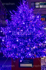 自由が丘イルミネーション,イルミネーション,イルミ,クリスマスツリー,キラキラ,クリスマス,電飾,電球,発光ダイオード,冬,綺麗,きれい,キレイ,煌,輝,デート,スポット,デコレーション,イベント,ブルー,ワイングラス,医療従事者,感謝,都内,自由が丘,飾り,目黒区,行事,九品仏,illumination,tree,LED,CHRISTMAS,Xmas,blue,フルサイズ撮影