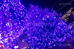 自由が丘イルミネーション,イルミネーション,イルミ,クリスマスツリー,キラキラ,クリスマス,電飾,電球,発光ダイオード,冬,綺麗,きれい,キレイ,煌,輝,デート,スポット,デコレーション,イベント,ブルー,ワイングラス,医療従事者,感謝,都内,自由が丘,飾り,目黒区,行事,九品仏,illumination,tree,LED,CHRISTMAS,Xmas,blue,フルサイズ撮影
