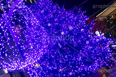 自由が丘イルミネーション,イルミネーション,イルミ,クリスマスツリー,キラキラ,クリスマス,電飾,電球,発光ダイオード,冬,綺麗,きれい,キレイ,煌,輝,デート,スポット,デコレーション,イベント,ブルー,ワイングラス,医療従事者,感謝,都内,自由が丘,飾り,目黒区,行事,九品仏,illumination,tree,LED,CHRISTMAS,Xmas,blue,フルサイズ撮影
