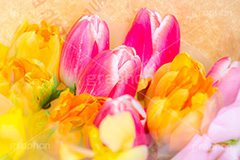 春の花束,チューリップ,スイートピー,花,花束,贈り物,プレゼント,フラワー,スプリング,春,ガーリー,パステル,カラフル,flower,colorful,tulip,spring,pastel,present