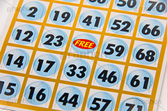ビンゴカード,ビンゴ,カード,くじ,ゲーム,番号,当たり,運,景品,商品,free,game,bingo,card,フルサイズ撮影