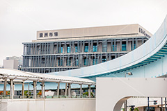 豊洲市場,市場,取引,公設,卸売市場,東京都,江東区,豊洲,競り,魚介,物販,飲食,小売,観光,ゆりかもめ,市場前駅,フルサイズ撮影