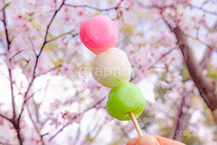 花より団子,団子,三色団子,串,だんご,桜,さくら,サクラ,花見,お花見,花,お花,フラワー,はな,春,パステル,ナチュラル,癒し,natural,pastel,blossom,japan,flower,spring,フルサイズ撮影