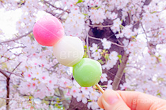 花より団子,団子,三色団子,串,だんご,桜,さくら,サクラ,花見,お花見,花,お花,フラワー,はな,春,パステル,ナチュラル,癒し,natural,pastel,blossom,japan,flower,spring,フルサイズ撮影