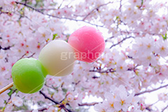 花より団子,団子,三色団子,串,だんご,桜,さくら,サクラ,花見,お花見,花,お花,フラワー,はな,春,パステル,ナチュラル,癒し,natural,pastel,blossom,japan,flower,spring,フルサイズ撮影
