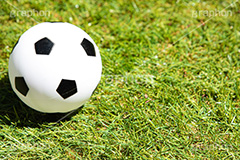 サッカーボール,サッカー,フットサル,ボールの玩具,ボール,ゴムボール,玩具,おもちゃ,こども,子供,キッズ,スポーツ,運動,競技,球技,体育,部活,芝生,グラウンド,グランド,sports,kids,ball,フルサイズ撮影
