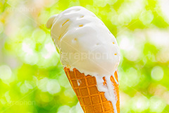 溶けたソフトクリーム,ソフトクリーム,アイスクリーム,クリーム,コーン,ワッフル,ミルク,暑い,溶け,垂れ,清凉,夏,涼,冷,アイス,スイーツ,菓子,デザート,おやつ,お菓子,冷菓子,甘い,sweet,summer,フルサイズ撮影