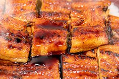 うな重,うな丼,土用の丑の日,ウナギ,鰻重,うなぎ,鰻,土用,丑の日,蒲焼,かば焼き,夏,和食,日本食,日本料理,お重,スタミナ,性,季節感,照り,湯気,ツヤ,たれ,タレ,垂れ,垂れる,かける,サマー,summer,japan,フルサイズ撮影