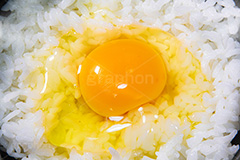 卵かけごはん,卵かけご飯,卵,生卵,TKG,ごはん,あつあつ白飯,白飯,炊き立て炊き立てごはん,炊き,米,白米,ご飯,お米,和食,日本食,日本料理,湯気,茶碗,ちゃわん,グルメ,rice,japan,フルサイズ撮影