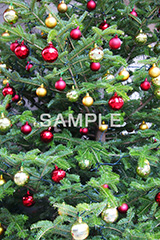 ツリー,クリスマス,くりすます,Christmas,Xmas,CHRISTMAS,デコレーション,飾り,もみのき,モミの木,樅木,冬,オーナメント,ボール,キラキラ,イベント,行事