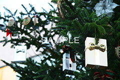 ツリー,クリスマス,くりすます,Christmas,Xmas,CHRISTMAS,デコレーション,飾り,もみのき,モミの木,樅木,冬,オーナメント,プレゼント,イベント,行事