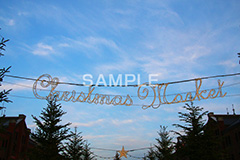 マーケット,market,デコレーション,クリスマス,くりすます,Christmas,Xmas,CHRISTMAS,飾り,樅木,モミの木,もみのき,冬,オーナメント,ボール,キラキラ,カラフル,電飾,赤レンガ倉庫,横浜,イベント,商業施設,行事,神奈川県,クリスマスマーケット