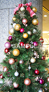 ツリー,クリスマス,くりすます,Christmas,Xmas,CHRISTMAS,デコレーション,飾り,もみのき,モミの木,樅木,冬,オーナメント、ボール,キラキラ,イベント,行事