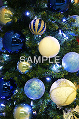 ツリー,クリスマス,くりすます,Christmas,Xmas,CHRISTMAS,デコレーション,飾り,もみのき,モミの木,樅木,冬,オーナメント,ボール,キラキラ,イベント,行事