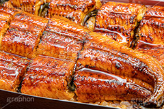 うな重,うな丼,土用の丑の日,ウナギ,鰻重,うなぎ,鰻,土用,丑の日,蒲焼,かば焼き,夏,和食,日本食,日本料理,お重,スタミナ,性,季節感,照り,ツヤ,たれ,タレ,山椒,サマー,summer,japan,フルサイズ撮影