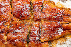 うな重,うな丼,土用の丑の日,ウナギ,鰻重,うなぎ,鰻,土用,丑の日,蒲焼,かば焼き,夏,和食,日本食,日本料理,お重,スタミナ,性,季節感,照り,ツヤ,たれ,タレ,山椒,サマー,summer,japan,フルサイズ撮影