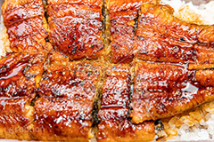 うな重,うな丼,土用の丑の日,ウナギ,鰻重,うなぎ,鰻,土用,丑の日,蒲焼,かば焼き,夏,和食,日本食,日本料理,お重,スタミナ,性,季節感,照り,ツヤ,たれ,タレ,山椒,サマー,summer,japan,フルサイズ撮影