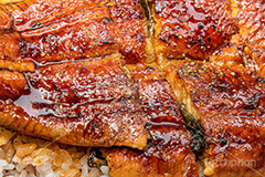 うな重,うな丼,土用の丑の日,ウナギ,鰻重,うなぎ,鰻,土用,丑の日,蒲焼,かば焼き,夏,和食,日本食,日本料理,お重,スタミナ,性,季節感,照り,ツヤ,たれ,タレ,山椒,サマー,summer,japan,フルサイズ撮影