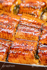 うな重,うな丼,土用の丑の日,ウナギ,鰻重,うなぎ,鰻,土用,丑の日,蒲焼,かば焼き,夏,和食,日本食,日本料理,お重,スタミナ,性,季節感,照り,ツヤ,たれ,タレ,山椒,サマー,summer,japan,フルサイズ撮影