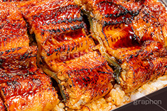 うな重,うな丼,土用の丑の日,ウナギ,鰻重,うなぎ,鰻,土用,丑の日,蒲焼,かば焼き,夏,和食,日本食,日本料理,お重,スタミナ,性,季節感,照り,ツヤ,たれ,タレ,サマー,summer,japan