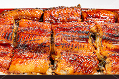 うな重,うな丼,土用の丑の日,ウナギ,鰻重,うなぎ,鰻,土用,丑の日,蒲焼,かば焼き,夏,和食,日本食,日本料理,お重,スタミナ,性,季節感,照り,ツヤ,たれ,タレ,サマー,summer,japan