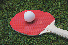 卓球のラケットとボール,卓球,ピンポン,ラケット,ボール,玉,球技,競技,種目,運動,部活,体育,芝生,スポーツ,グラウンド,グランド,sports,game,ball