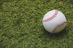 野球ボール,野球,ベイスボール,軟球,ボール,スポーツ,運動,競技,球技,体育,部活,芝生,グラウンド,グランド,sports,ball,フルサイズ撮影