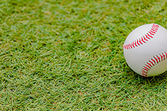 野球ボール,野球,ベイスボール,軟球,ボール,スポーツ,運動,競技,球技,体育,部活,芝生,グラウンド,グランド,sports,ball,フルサイズ撮影