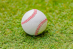 野球ボール,野球,ベイスボール,軟球,ボール,スポーツ,運動,競技,球技,体育,部活,芝生,グラウンド,グランド,sports,ball,フルサイズ撮影