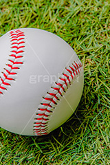 野球ボール,野球,ベイスボール,軟球,ボール,スポーツ,運動,競技,球技,体育,部活,芝生,グラウンド,グランド,sports,ball,フルサイズ撮影