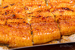 うな重,うな丼,土用の丑の日,ウナギ,鰻重,うなぎ,鰻,土用,丑の日,蒲焼,かば焼き,夏,和食,日本食,日本料理,お重,スタミナ,性,季節感,照り,ツヤ,たれ,タレ,サマー,summer,japan,フルサイズ撮影
