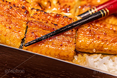 うな重,うな丼,土用の丑の日,ウナギ,鰻重,うなぎ,鰻,土用,丑の日,蒲焼,かば焼き,夏,和食,日本食,日本料理,お重,スタミナ,性,季節感,照り,ツヤ,たれ,タレ,サマー,箸,はし,つかむ,掴む,summer,japan,フルサイズ撮影