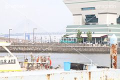 象の鼻,みなとみらい,21,波止場,はとば,横浜,よこはま,ヨコハマ,神奈川,草地,広場,公園,パーク,ベイサイド