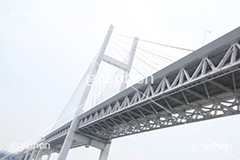 ベイブリッジ,橋,はし,真下,横浜,よこはま,ヨコハマ,神奈川,海辺,みなとみらい,21,クルーズ,見上げ