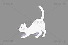 白猫,猫,ねこ,しろねこ,威嚇,ハロウィン,ハロウィーン,イラスト,挿絵,挿し絵,キャラクター,character,illustration,halloween