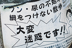 大迷惑,ペット,飼い主,散歩,犬,フン,処理,片付け,警戒,警告,注意,禁止,違反,ルール,マナー,看板,標示,rule,manner,フルサイズ撮影