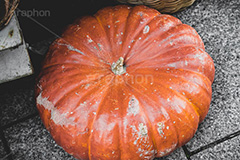 パンプキン,カボチャ,南瓜,ジャックオランタン,ジャックオーランタン,ハロウィン,はろうぃん,ハロウィーン,イベント,秋,行事,オーナメント,装飾,Halloween,pumpkin,ornament,フルサイズ撮影