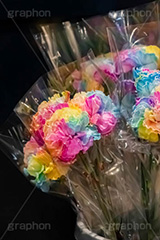 レインボーカーネーション,カーネーション,フラワー,花,お花,花屋,レインボー,虹色,カラフル,パステル,母の日,感謝,贈り物,プレゼント,flower,rainbow,colorful,pastel,フルサイズ撮影