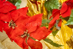 ポインセチア,クリスマスの花,デコレーション,飾り,オーナメント,真っ赤,冬,イベント,行事,花,造花,フラワー,flower,winter,Christmas,フルサイズ撮影