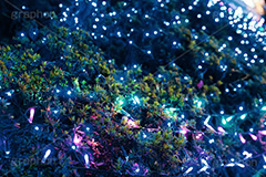 イルミネーション,イルミ,電飾,電球,発光ダイオード,冬,イベント,LED,illumination,event,フルサイズ撮影