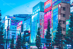 サイバーパンクな秋葉原,サイバーパンク,電気街,秋葉原駅,秋葉原,あきば,秋葉,アキバ,ゲーム,アニメ,おたく,オタク,文化,カルチャー,看板,広告,akiba,japan,culture,フルサイズ撮影