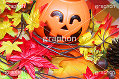 ジャックオーランタン,ハロウィン,はろうぃん,ハロウィーン,Halloween,かぼちゃ,カボチャ,南瓜,ランタン,イベント,おもちゃ,秋,パンプキン,pumpkin,行事