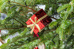クリスマスオーナメント,オーナメント,飾り,デコレーション,プレゼント,プレゼントボックス,贈り物,クリスマスツリー,ツリー,もみの木,モミの木,クリスマス,イベント,冬,行事,CHRISTMAS,Xmas,ornament,winter,present,フルサイズ撮影