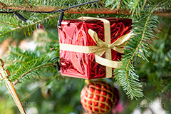 クリスマスオーナメント,オーナメント,飾り,デコレーション,プレゼント,プレゼントボックス,贈り物,クリスマスツリー,ツリー,もみの木,モミの木,クリスマス,イベント,冬,行事,CHRISTMAS,Xmas,ornament,winter,present,フルサイズ撮影