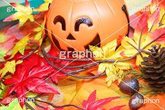 ジャックオーランタン,ハロウィン,はろうぃん,ハロウィーン,Halloween,かぼちゃ,カボチャ,南瓜,ランタン,イベント,おもちゃ,秋,パンプキン,pumpkin,行事