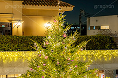 田園調布駅のクリスマスツリー,クリスマスツリー,イルミネーション,イルミ,田園調布駅,田園調布,駅,東急電鉄,東京,大田区,東横線,目黒線,電飾,電球,発光ダイオード,冬,キラキラ,綺麗,きれい,キレイ,煌,輝,デート,クリスマス,飾り,デコレーション,イベント,モミの木,もみの木,オーナメント,ボール,illumination,tree,LED,CHRISTMAS,Xmas,ornament,japan,tokyo,フルサイズ撮影