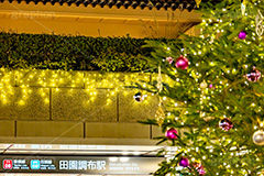 田園調布駅のクリスマスツリー,クリスマスツリー,イルミネーション,イルミ,田園調布駅,田園調布,駅,東急電鉄,東京,大田区,東横線,目黒線,電飾,電球,発光ダイオード,冬,キラキラ,綺麗,きれい,キレイ,煌,輝,デート,クリスマス,飾り,デコレーション,イベント,モミの木,もみの木,オーナメント,ボール,駅名,看板,標示,illumination,tree,LED,CHRISTMAS,Xmas,ornament,japan,tokyo,フルサイズ撮影